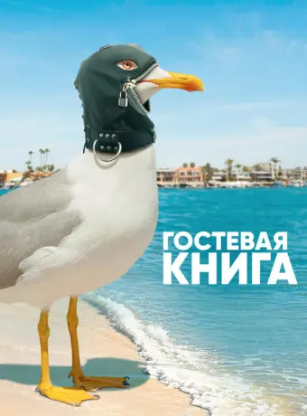 Гостевая книга 2017