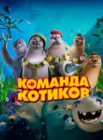 Команда котиков 2021