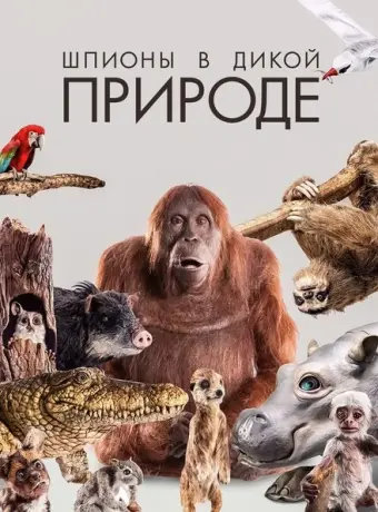 Шпионы в дикой природе (2017)