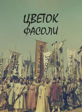 Цветок фасоли 2019