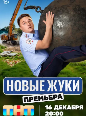 Жуки 2019