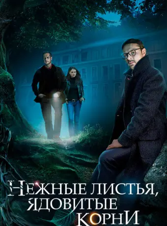 Нежные листья, ядовитые корни 2019