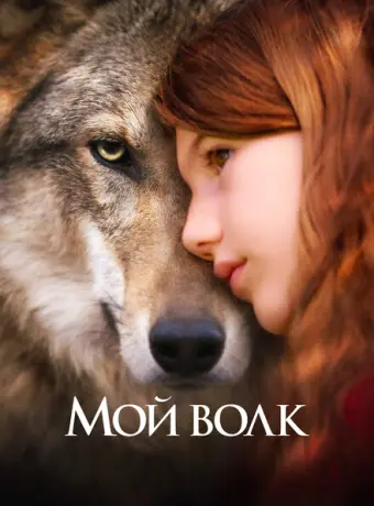 Мой волк 2021