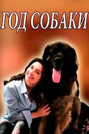 Год собаки 2018