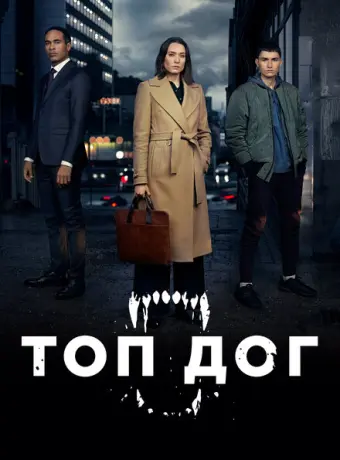 Топ дог 2020