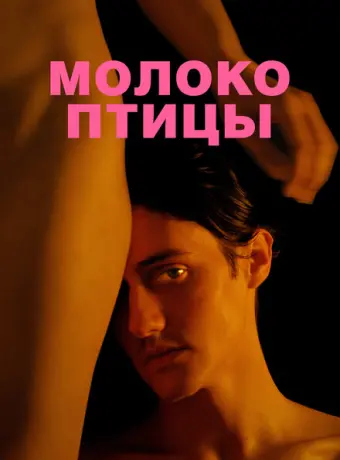 Молоко птицы 2021