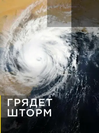 Грядет шторм (2020)