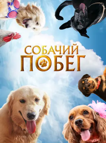 Собачий побег 2023