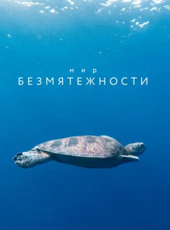Мир безмятежности 2020