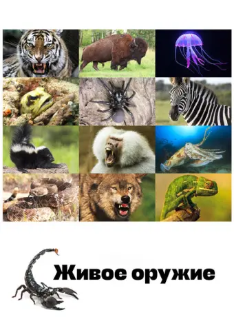 Живое оружие 2016