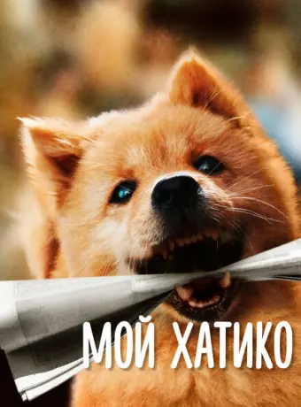 Мой Хатико 2023