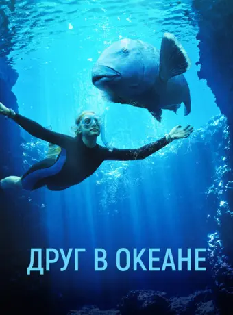 Друг в океане 2023