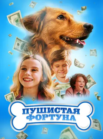 Пушистое состояние 2023