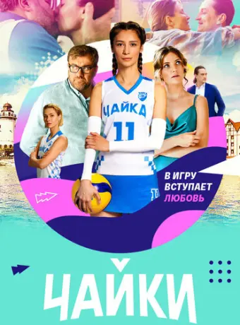Чайки 2022