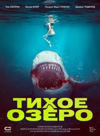 Акула бык 2022
