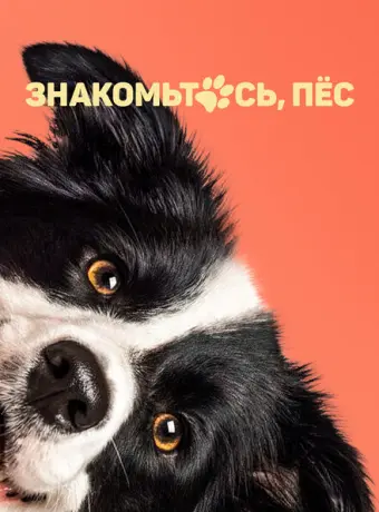 Знакомьтесь, пёс 2022