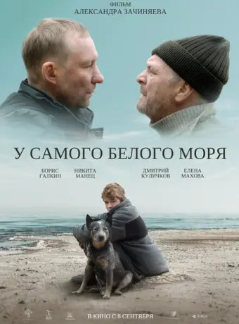 У самого Белого моря 2022