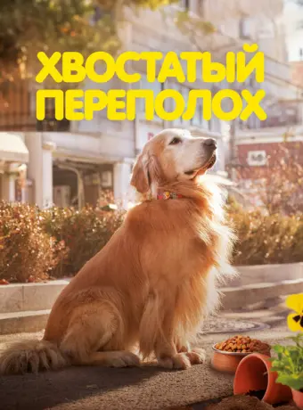 Хвостатый переполох 2024