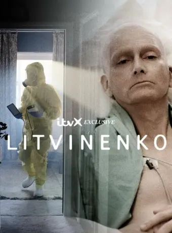 Литвиненко 2022