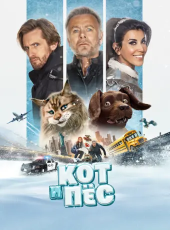 Кот и пёс 2024