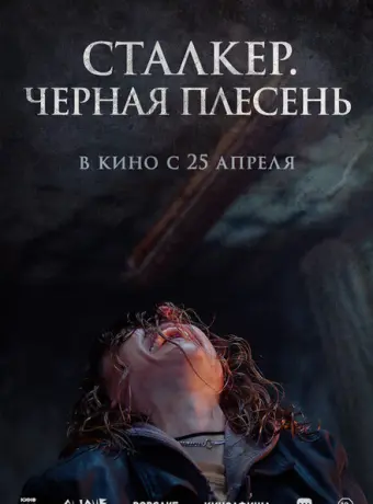 Сталкер. Черная плесень 2023
