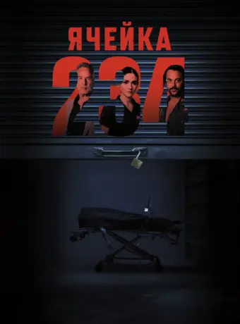 Ячейка 234 2023