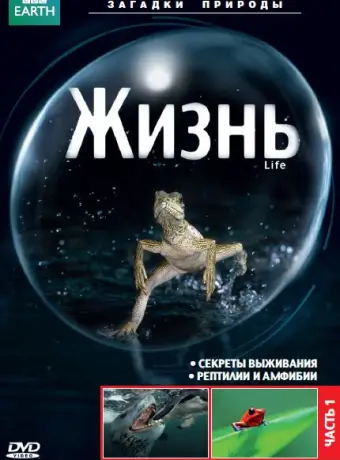 BBC: Жизнь 2009