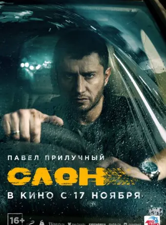Слон 2022