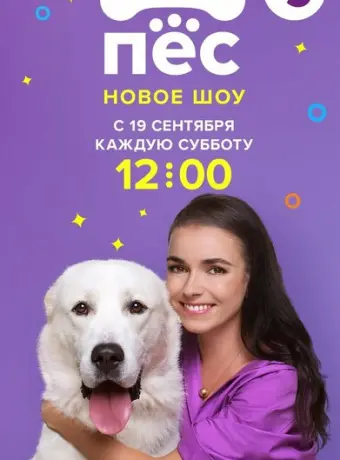 Лучший пёс (2020)