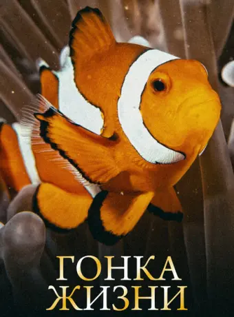 Гонка жизни (2015)