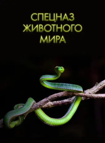Спецназ животного мира (2018)