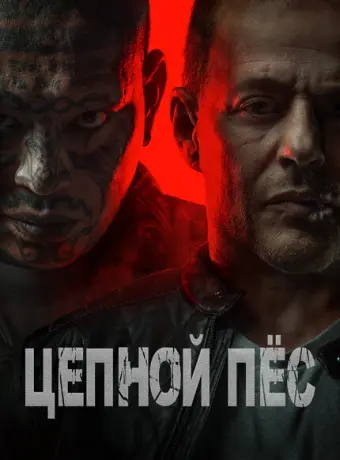 Цепной пёс 2024