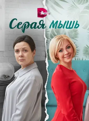 Серая мышь 2023
