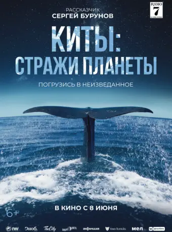 Киты: Стражи планеты 2023