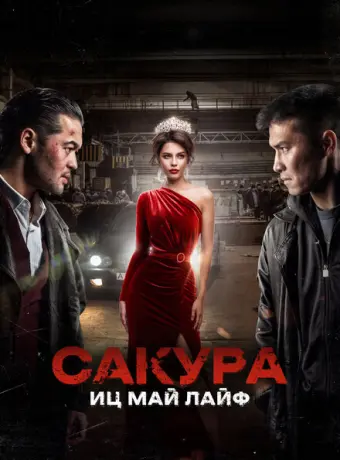 Сакура 2024