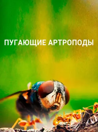 Пугающие артроподы (2021)