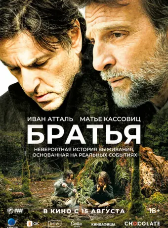 Братья 2024