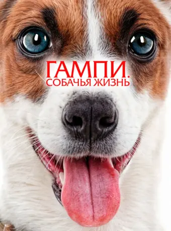 Гампи. Собачья жизнь 2024