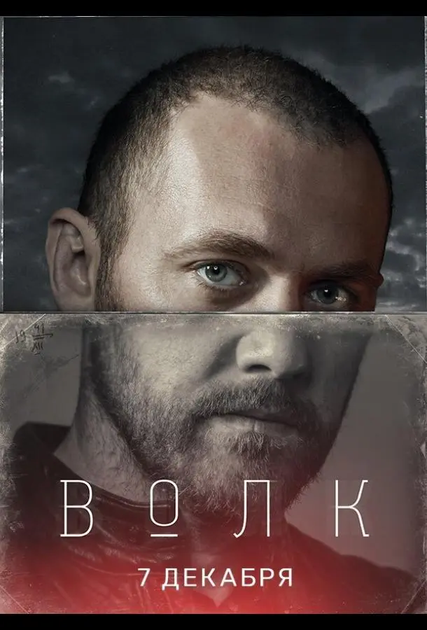 Волк 2020