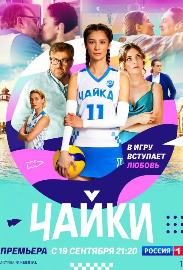 Чайки 2022