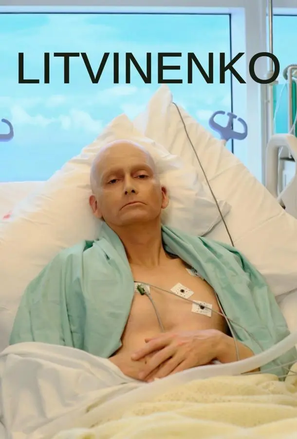 Литвиненко 2022