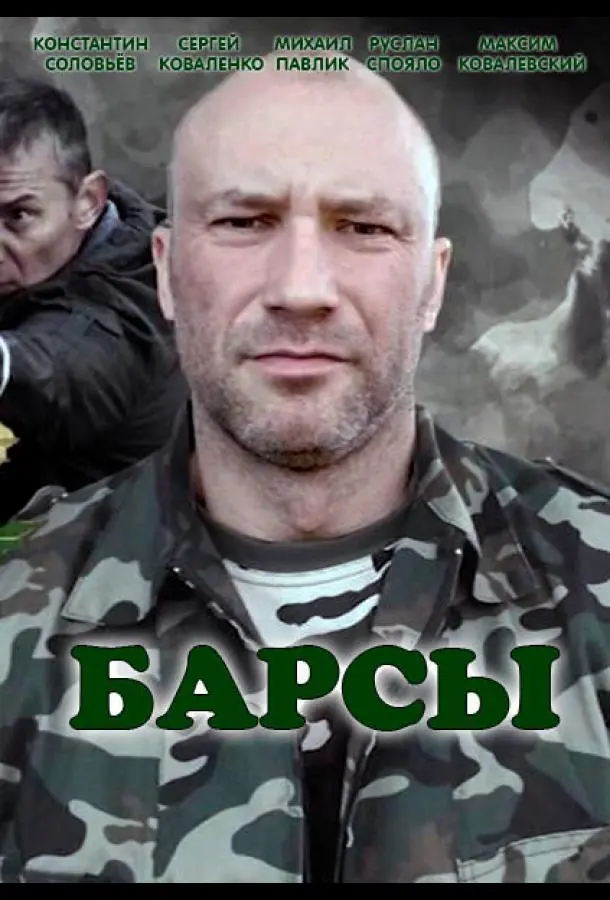 Барсы 2015
