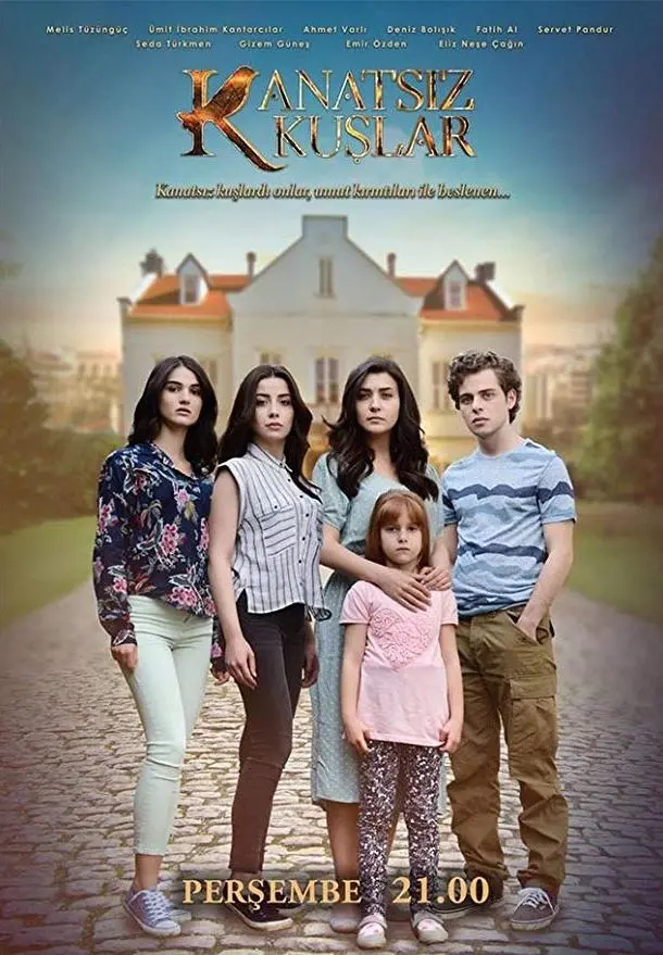 Птицы без крыльев 2017