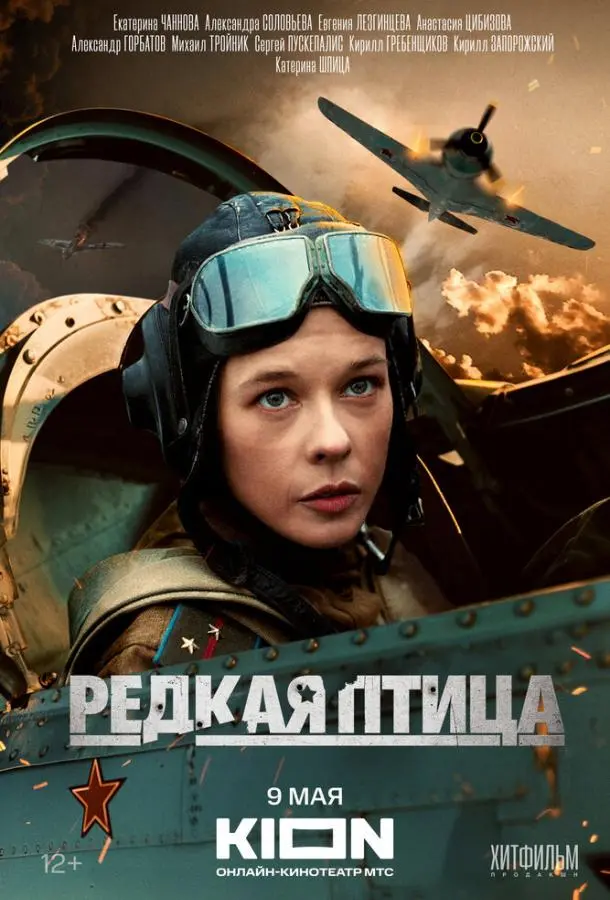 Редкая птица 2024