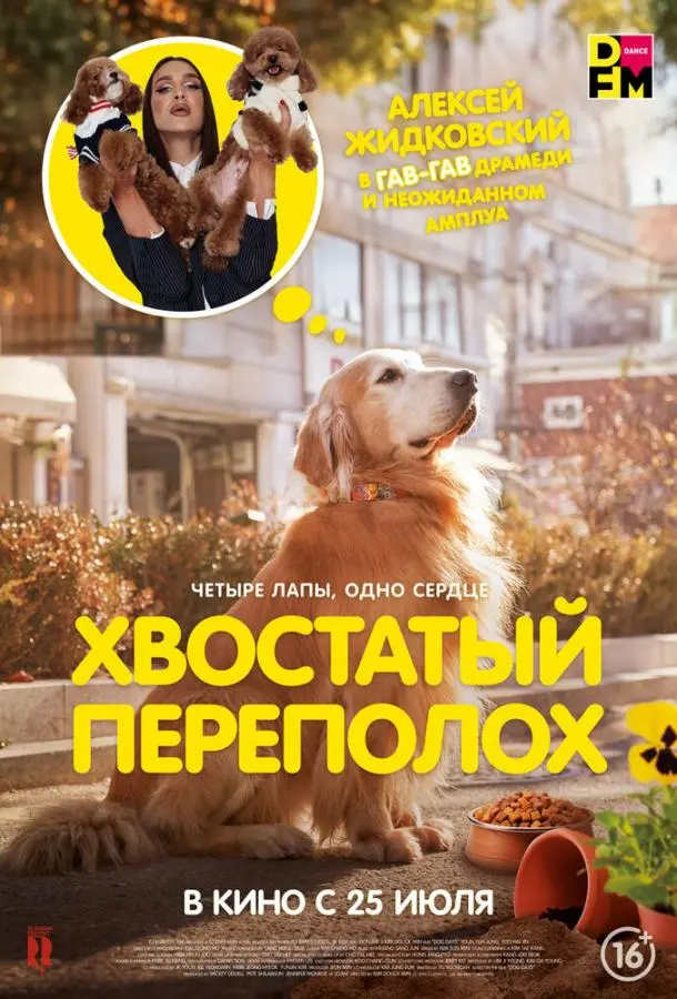 Хвостатый переполох 2024