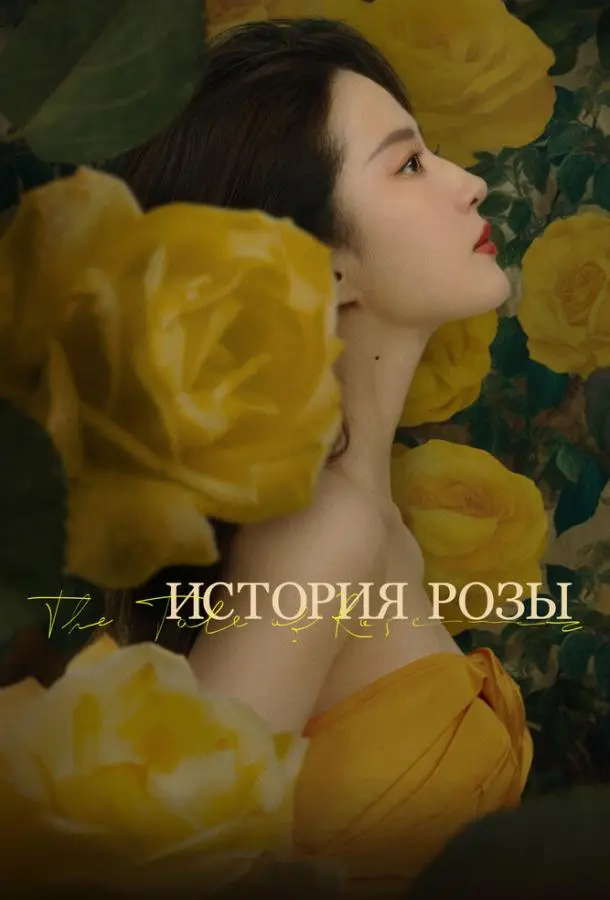 История розы 2024