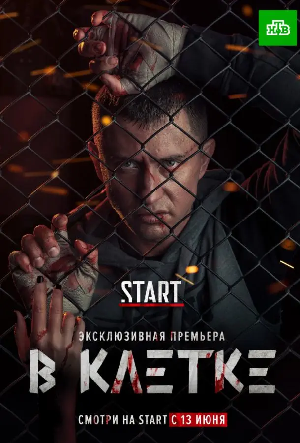 В клетке 2019