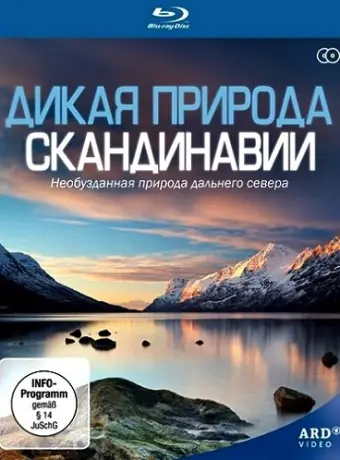 Дикая природа Скандинавии 2011