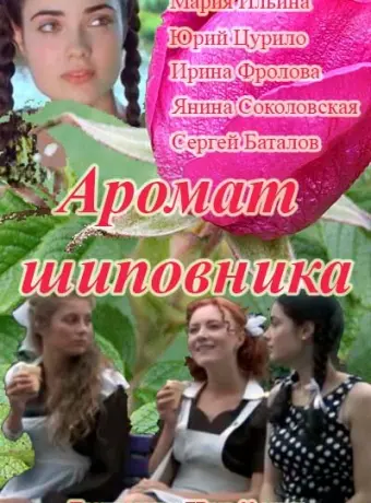 Аромат шиповника 2014