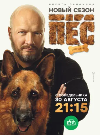 Пёс 2015